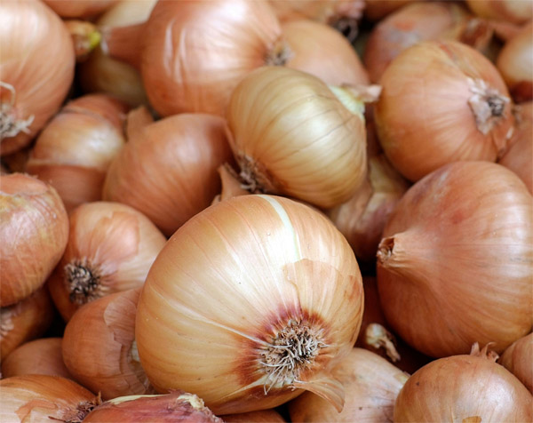 Onion from Madagascar exported by Soatia Logistic SARL